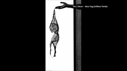 The 2 Bears – Bear Hug (softwar Remix)