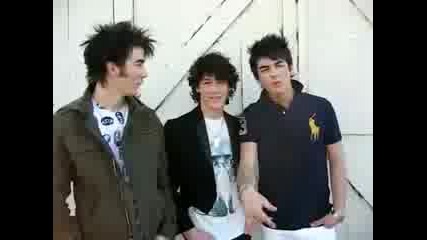 Jonas Brothers Wanna Date You!