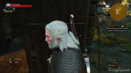 The Witcher 3 Wild Hunt Part 10