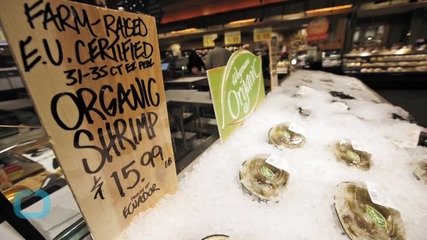 A Beginner's Guide to the Magical World of Wegmans