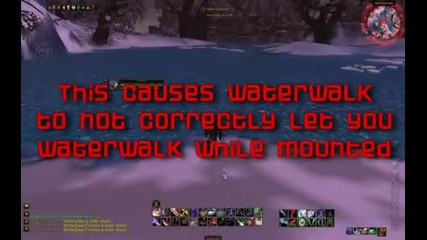 Water Walk Bug 