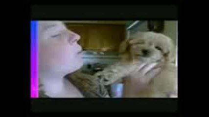 Funny Animals