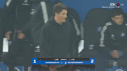 Hamburger SV vs. TSG 1899 Hoffenheim - Game Highlights