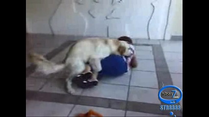 Куче се опитва да изнасили жена 