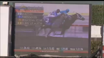 Jockeys - How to Gamble and Win