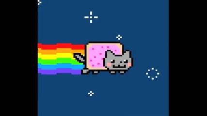 Fuckin' Nyan Cat !!! *o*
