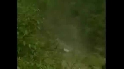 Rally Car Roll Over