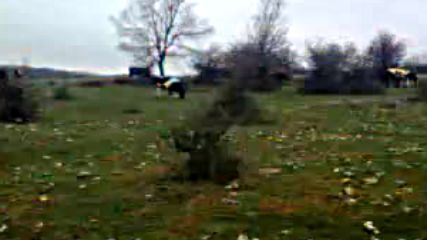Super Park Gorevisi Is Basinda Uz 2018 Hd