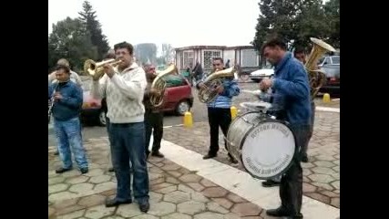 muzika
