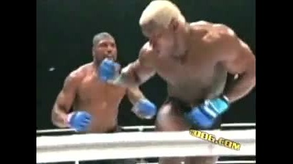 Mma Ufc Knockouts