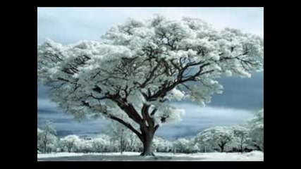 Lonely This Christmas - Alexander Zailer