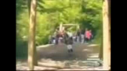 Funny Accidents