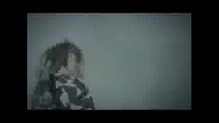 Cavalera Conspiracy - Sanctuary