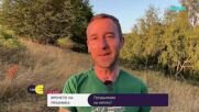 Прогноза за времето (06.09.2026 - сутрешна)
