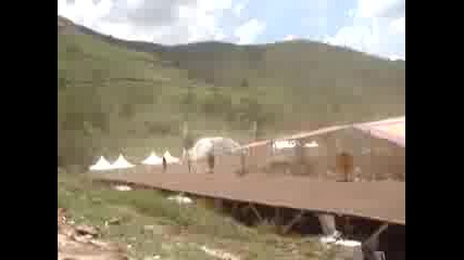 Astrix (tribe 2006)