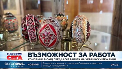 Компании в САЩ предлагат работа на украински бежанци