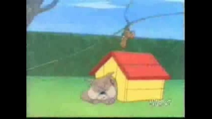 Tom & Jerry Mega Parody