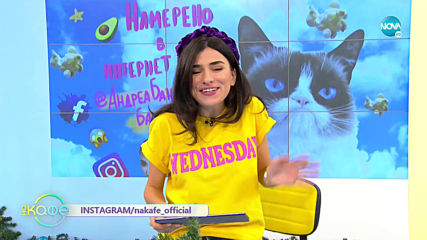 Каква е тайната на великолепните снежинки? - „На кафе” (04.12.2019)
