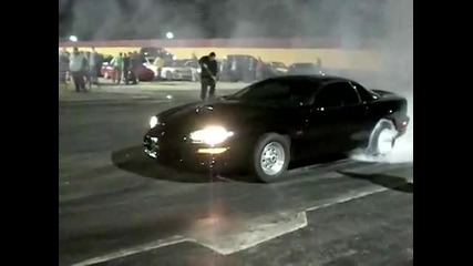 mustang pali gumi