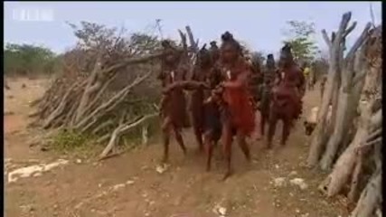 Himba tribe Unwanted Marriage - Tribal Wives - Bbc 