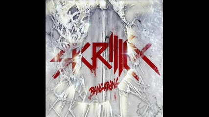 Skrillex - Right in