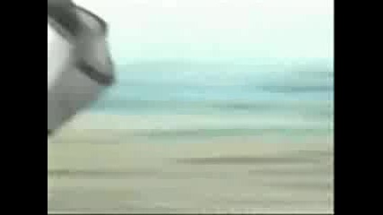 Naruto Evil 