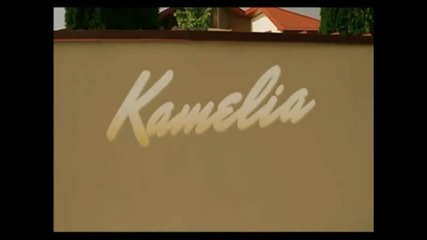 Kamelia - Come again (official video)