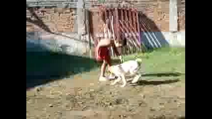 beti i Deko 