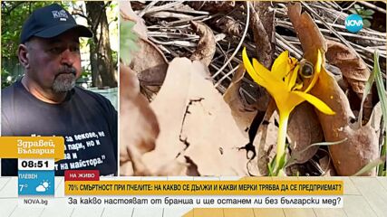 Ще има ли български мед тази година