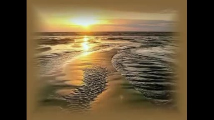 The Yin And Yang In Harmony - Oliver Shanti