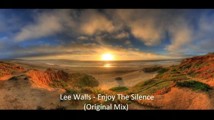 Lee Walls - Enjoy The Silence 