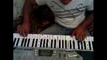 ilhan 