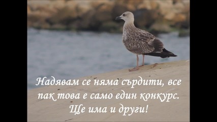 Резултати от 2ри кръг