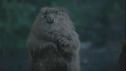 Правиш добро и то ти се връща рано или късно!