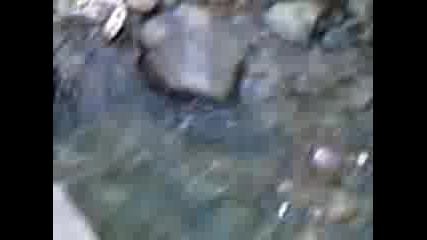Природа