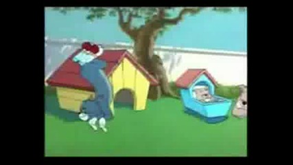 Tom I Jerry Parody Sex