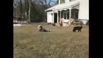 funny crashes compilation