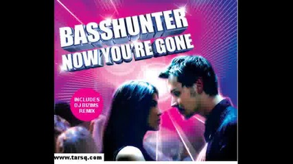 Dj Bizims ft. Basshunter - Now youre gone (funny remix)
