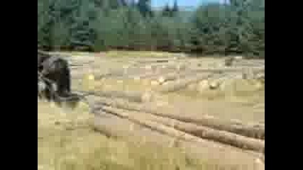 Qki Kone Ot Yakoruda