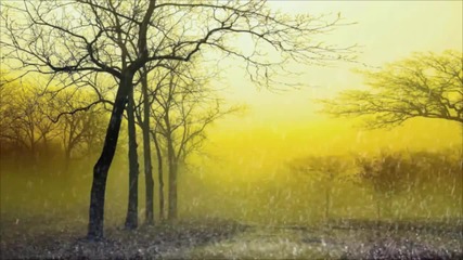 Syntheticsax - Autumn Rain
