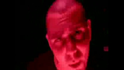 Pitbull - Dammit Man (official video) 