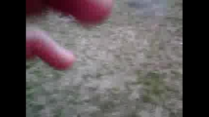 Mov00292.mp4
