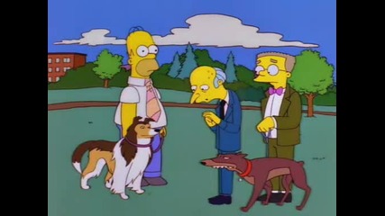 The Simpsons - 8x20 - The Canine Mutiny