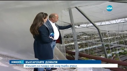 Българските домати на пазара след 1 април
