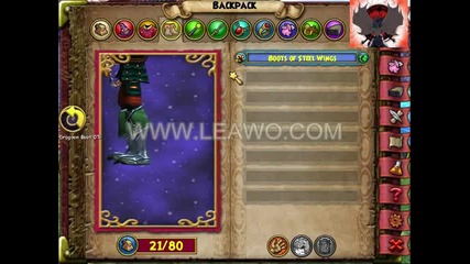 Wizard101 items & home