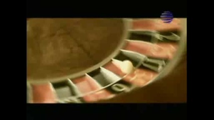 Gloriq - Vljubena V Jivota