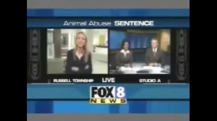 Cat Attacks Woman On Live Television 