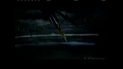 Feist - Honey, Honey