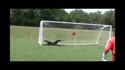 St. Louis Goalkeeping Academy
