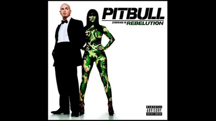 05 - Pitbull Feat. Nayer & Bass Iii Euro - Full Of ( Rebelution 2oo9 ) 